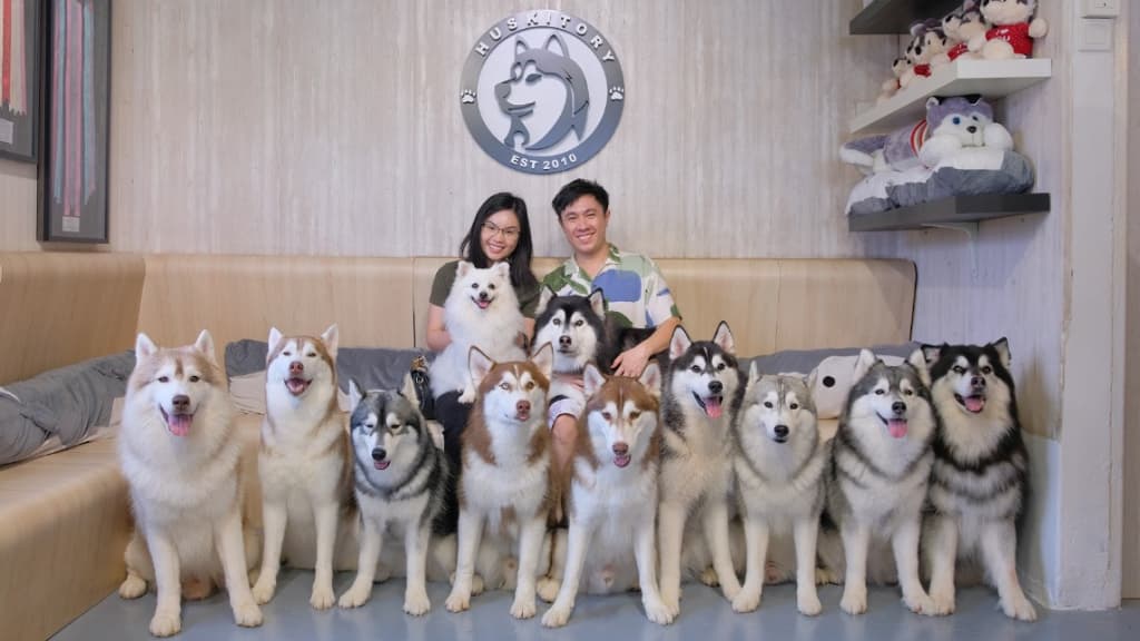 The Huskitory