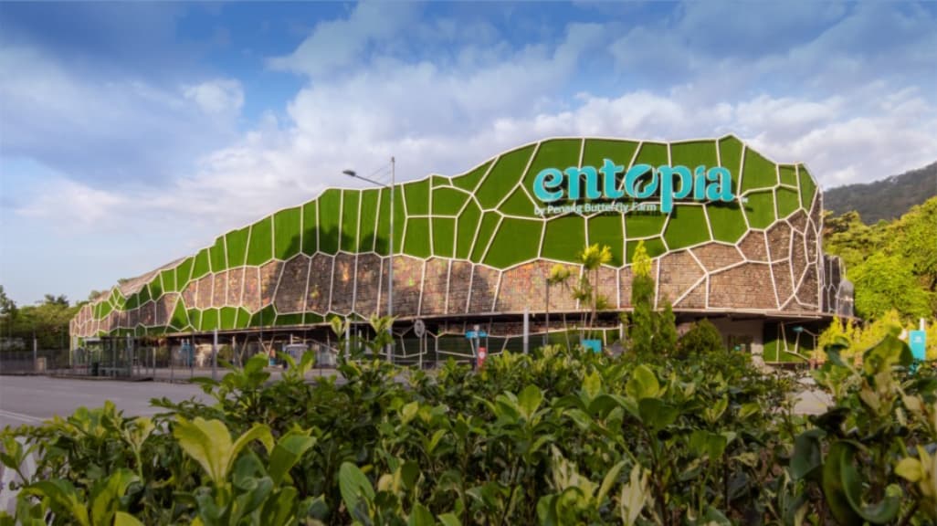 The Magical World of Entopia by Penang Butterfly Farm