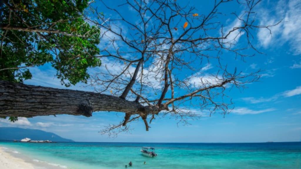 Tioman Island: Johor's Hidden Gem