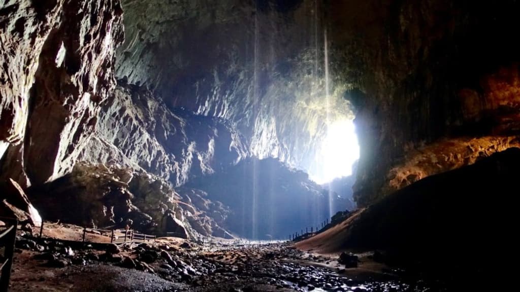 Mount Mulu: An Ecological Wonderland