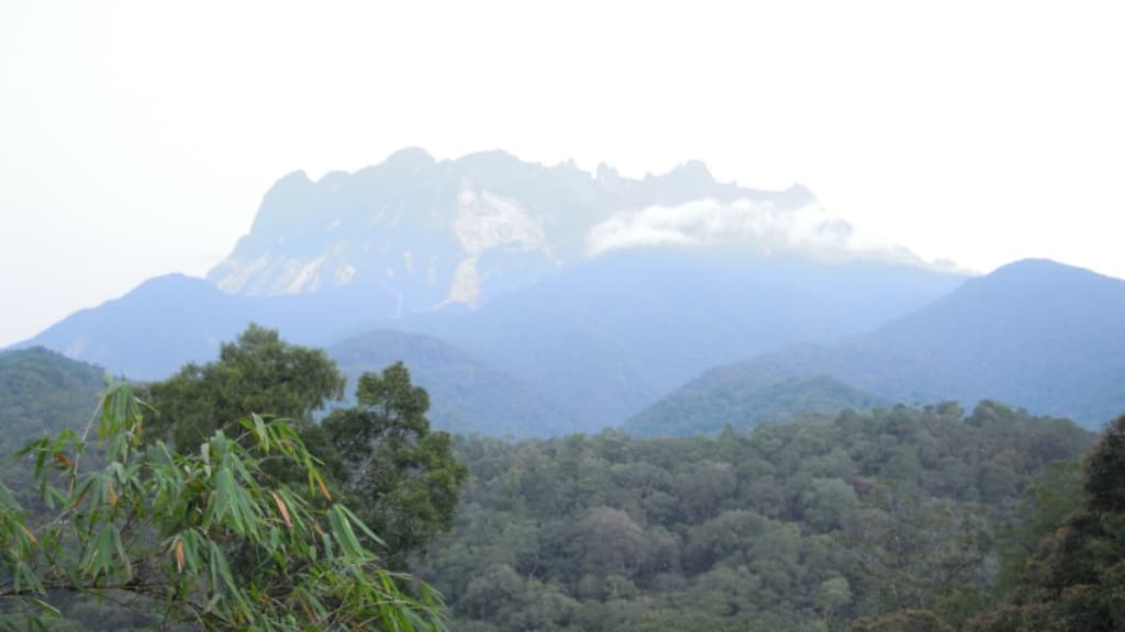 Kinabalu Park: Sabah's Ecological Wonderland