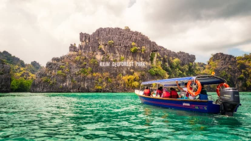 Langkawi Mangrove Tour
