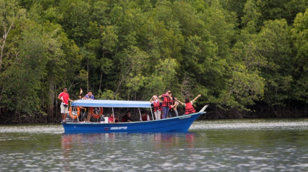 Langkawi Mangrove Tour: A Nature Lover's Dream