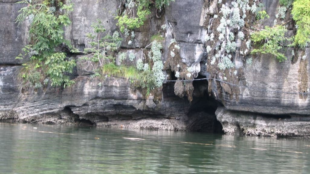 Langkawi Mangrove Tour: A Nature Lover's Dream