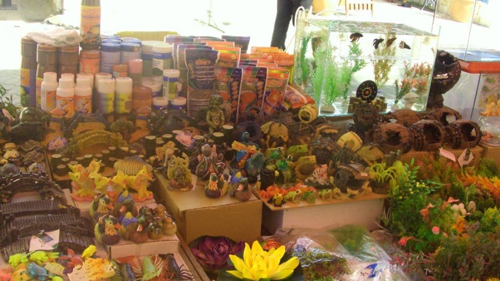 Gaya Street Sunday Market: Sabah's Street Shopping Experience