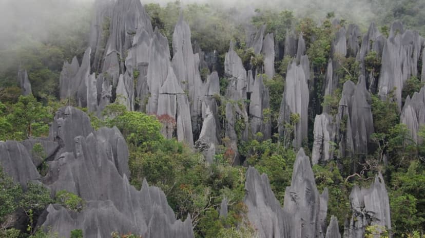 Gunung Mulu National Park