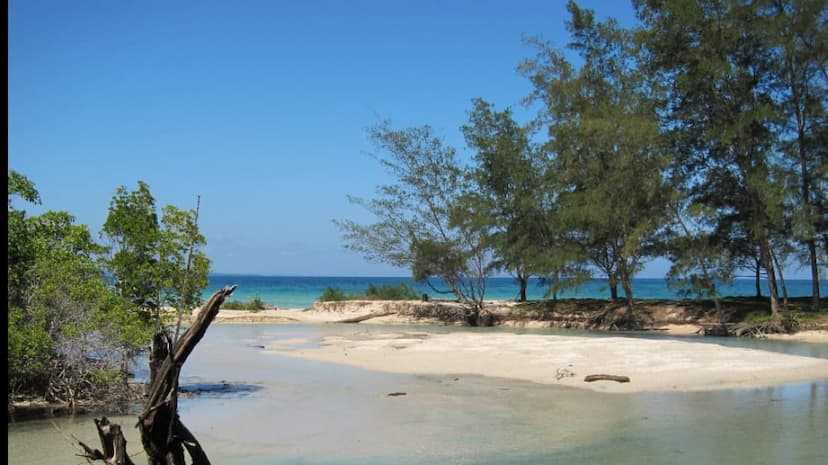 Pulau Tiga