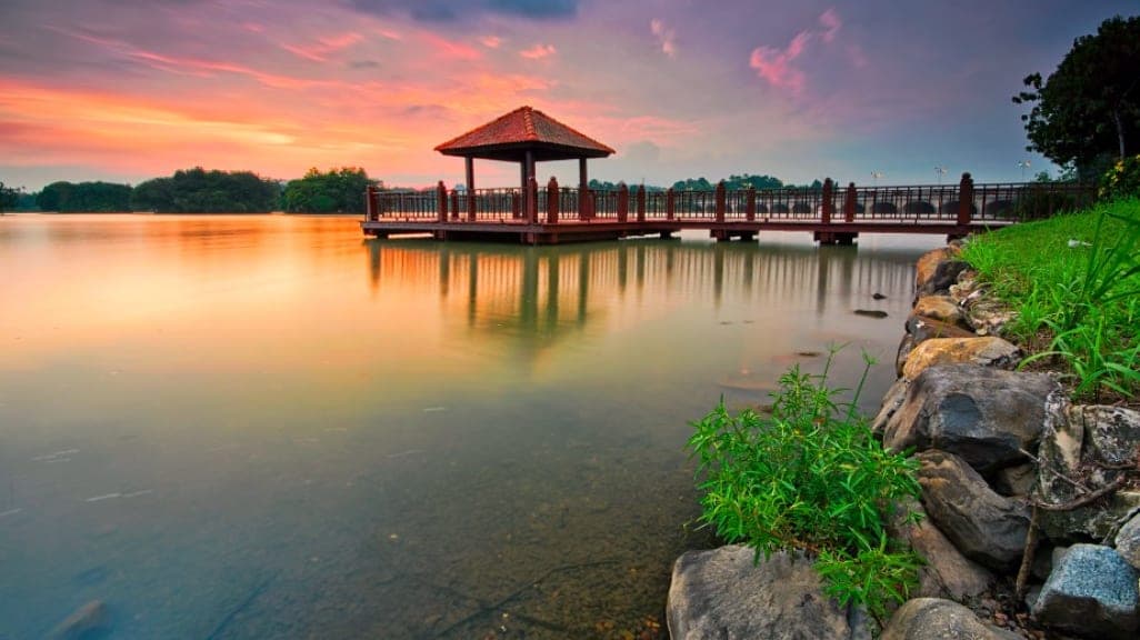 Oasis of Serenity: Putrajaya Wetlands Park