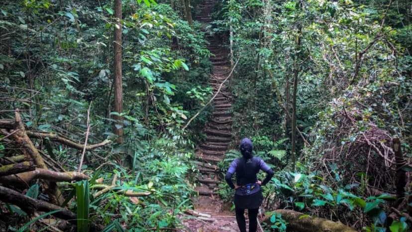 Bukit Gasing