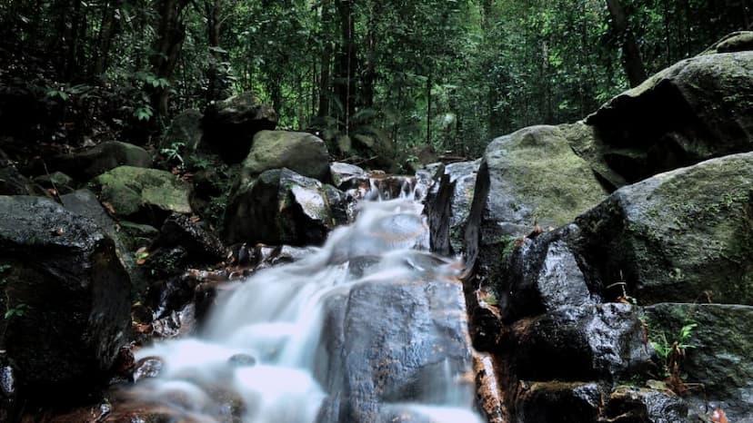 Hutan Lipur Gunung Pulai