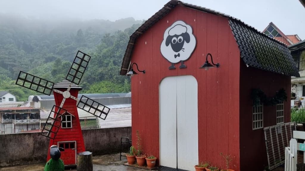 THE SHEEP SANCTUARY: A Delightful Encounter with Furry Friends