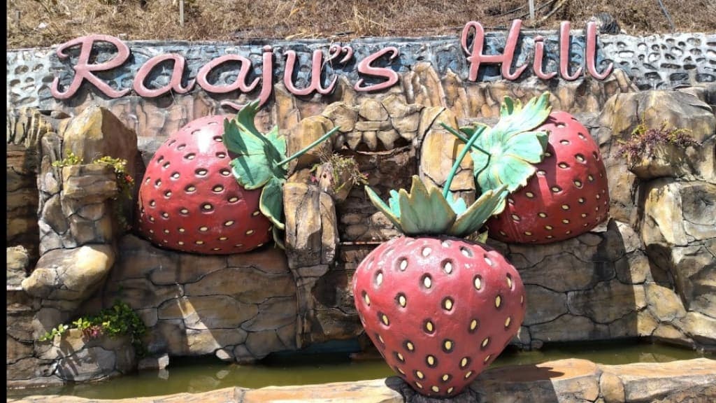 Raju's Hill Strawberry Farm: A Rustic Highland Experience