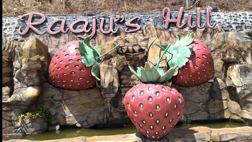 Raju's Hill Strawberry Farm