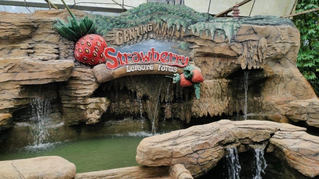 Genting Strawberry Leisure Farms: A Berry Delightful Experience
