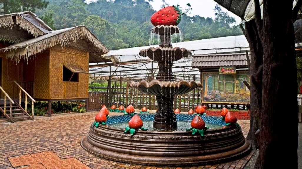 Genting Strawberry Leisure Farms: A Berry Delightful Experience