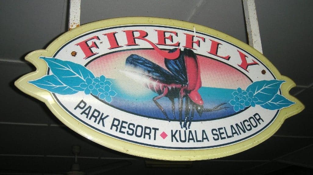 Kuala Selangor Fireflies: A Magical Nighttime Adventure