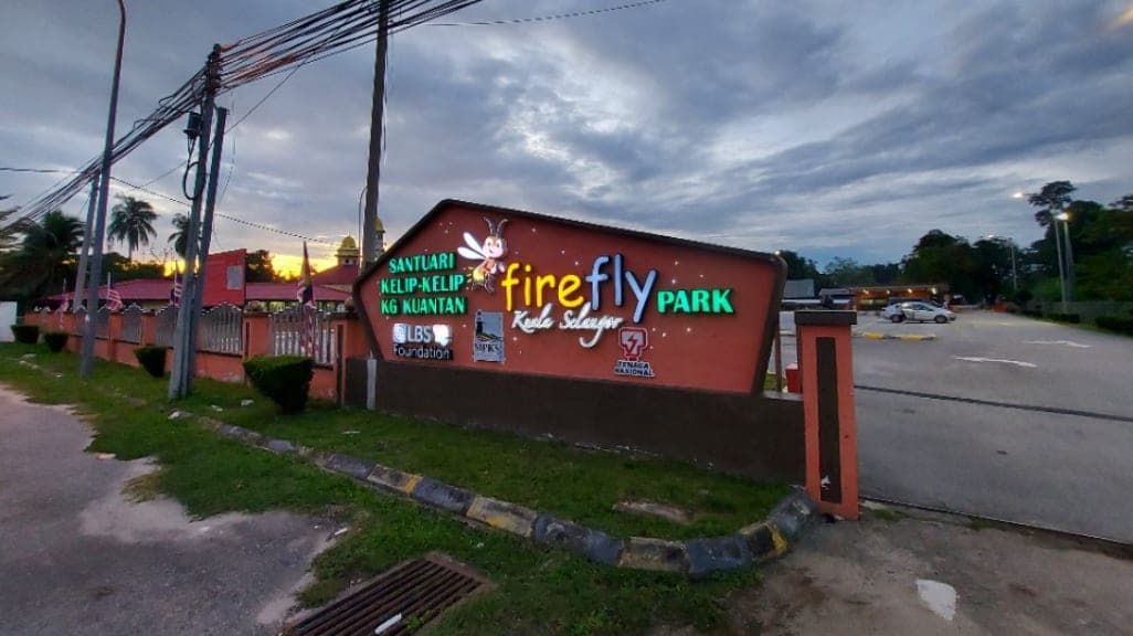 Kuala Selangor Fireflies: A Magical Nighttime Adventure