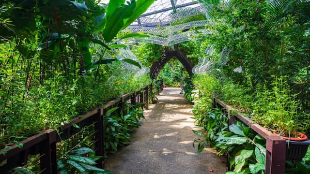 Entopia by Penang Butterfly Farm