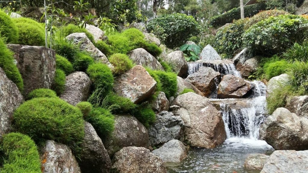 Japanese Village: An Oasis of Tranquility