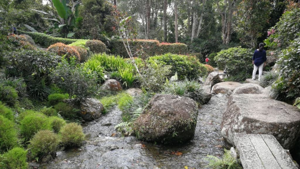Japanese Village: An Oasis of Tranquility