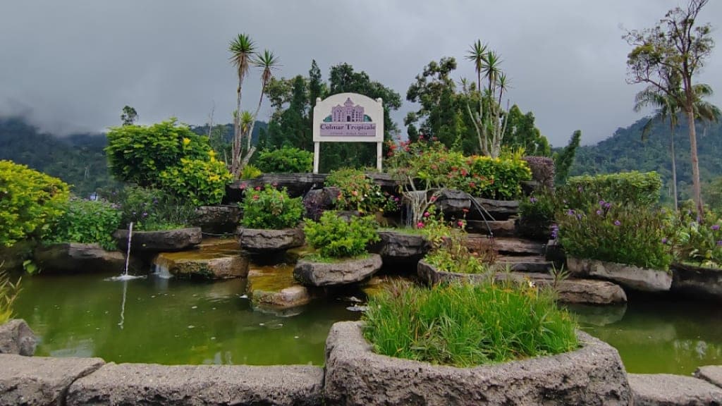 Japanese Village: An Oasis of Tranquility