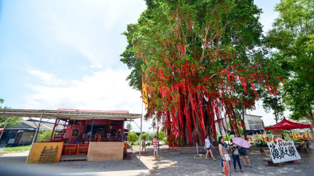 Sekinchan Wishing Tree: A Symbol of Hope and Beauty