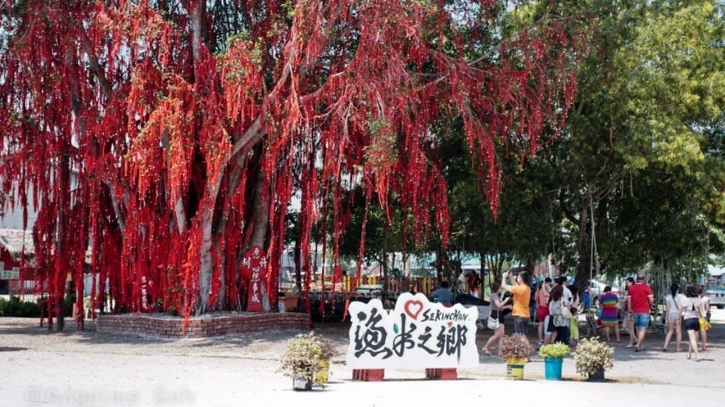 Sekinchan Wishing Tree: A Symbol of Hope and Beauty