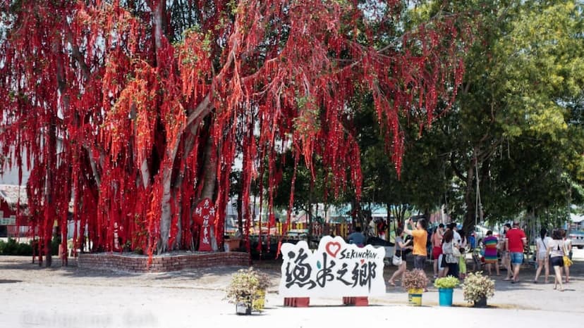 Sekinchan Wishing Tree