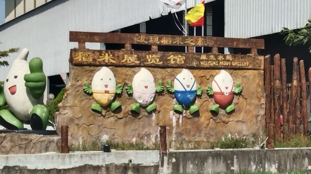 Paddy Gallery: An Insight into Sekinchan's Agricultural Pride