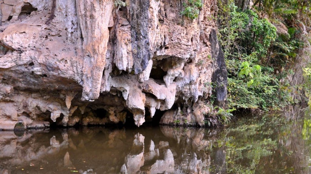 Kek Look Tong: Nature's Splendor Meets Spiritual Peace