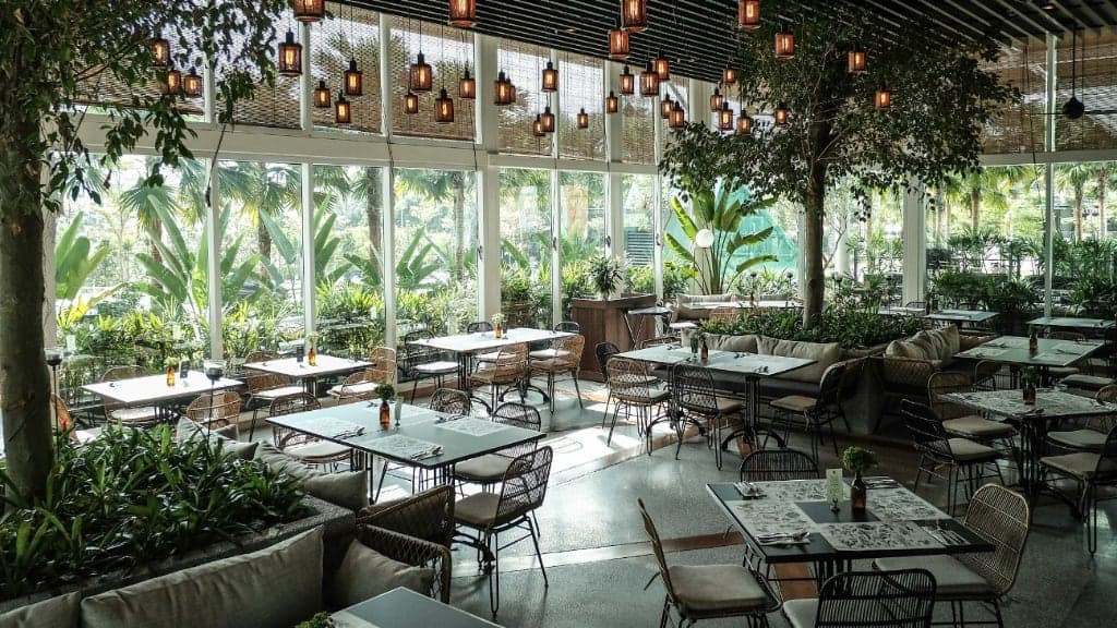 Botanica+Co: A Lush Escape in the City
