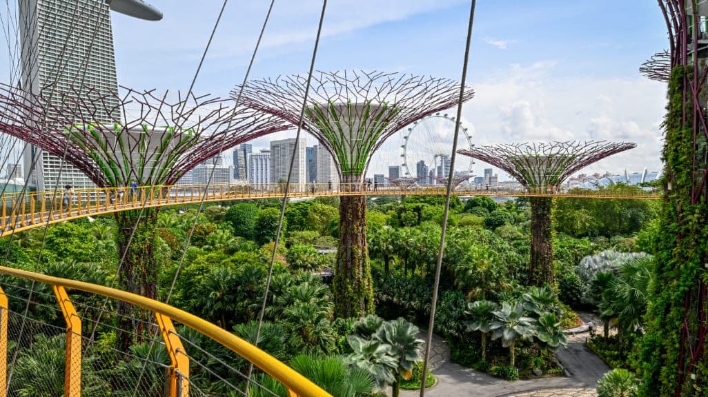 Gardens by the Bay: A Futuristic Eden