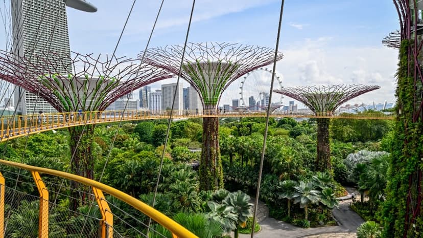 Gardens by the Bay