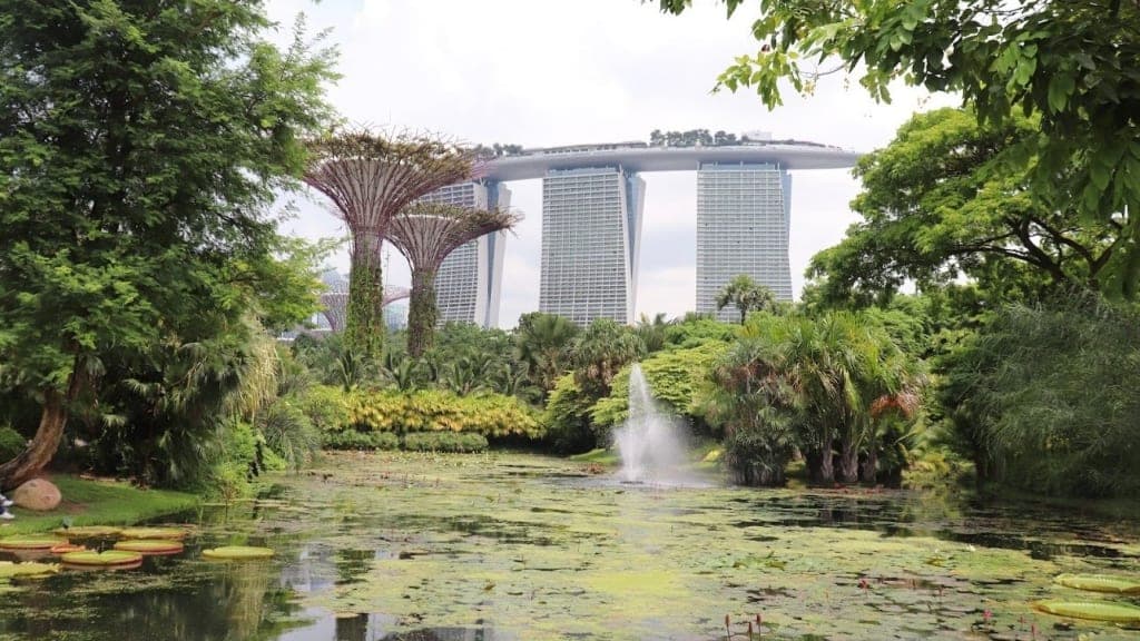 Gardens by the Bay: A Futuristic Eden
