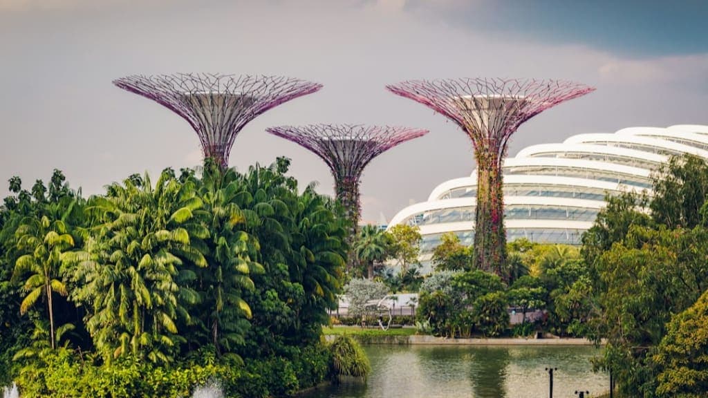 Gardens by the Bay: A Futuristic Eden