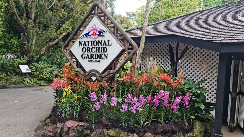 Singapore Botanic Gardens: A Green Sanctuary in the City