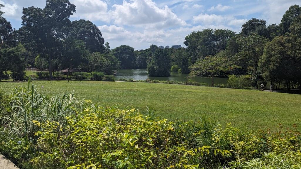 Singapore Botanic Gardens: A Green Sanctuary in the City