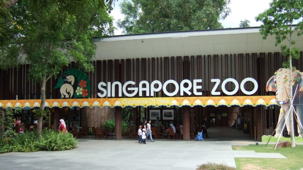 Singapore Zoo