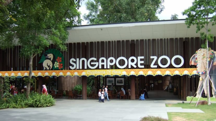 Singapore Zoo