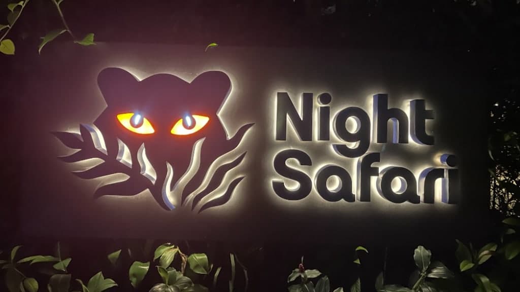 Night Safari: A Journey into the Nighttime Wilderness