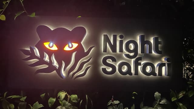 Night Safari