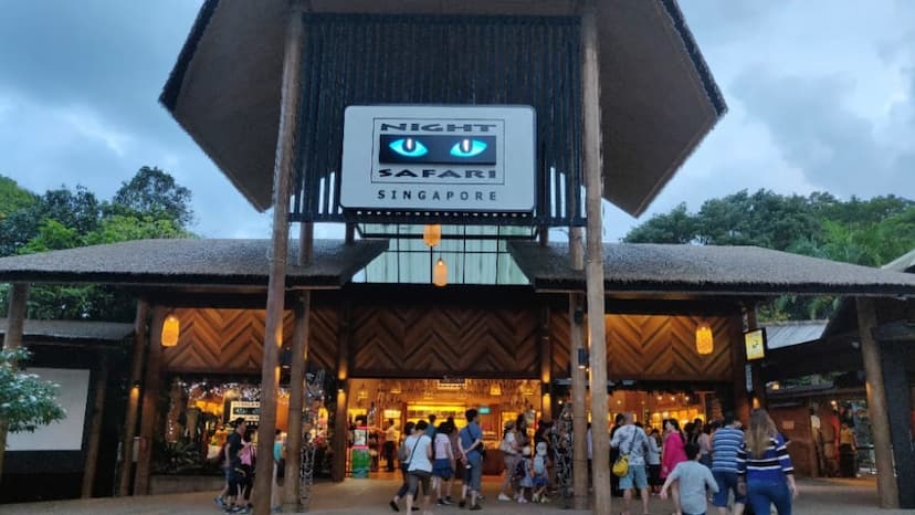 Night Safari
