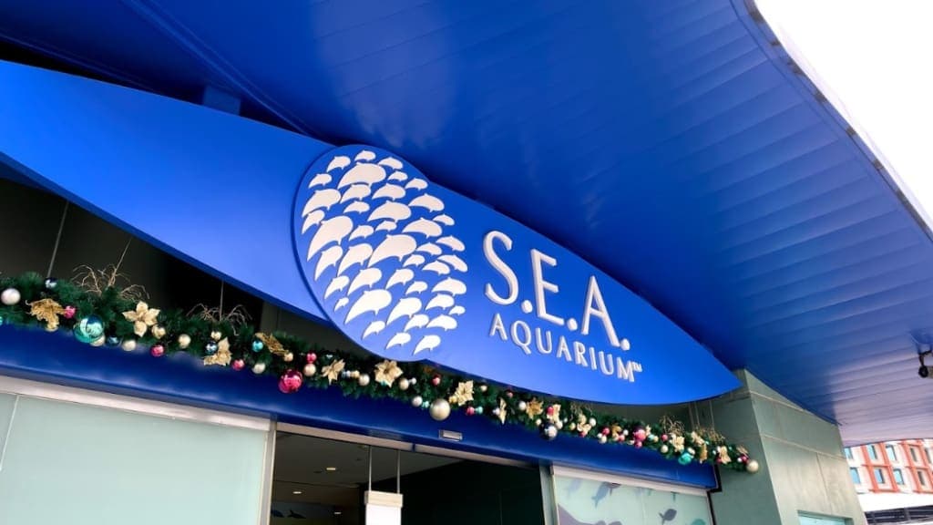 S.E.A. Aquarium: Dive into the Depths of the Ocean