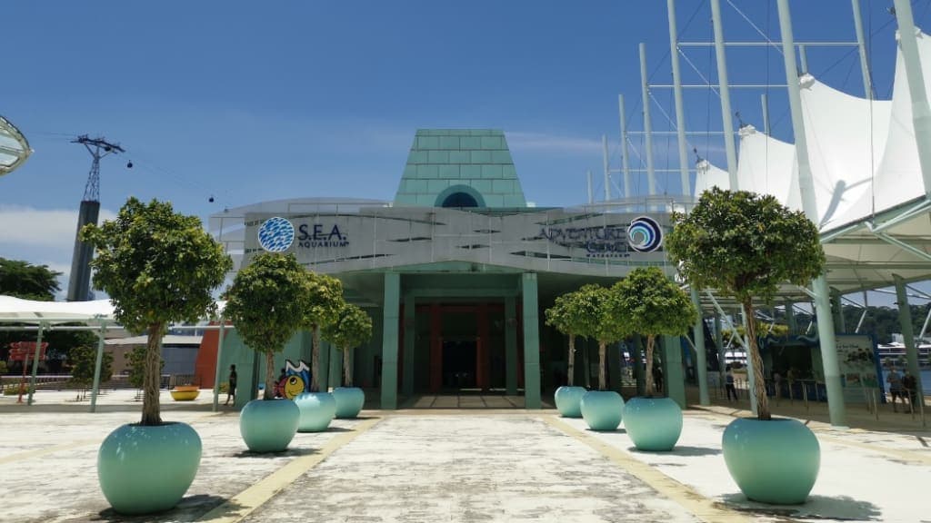 S.E.A. Aquarium: Dive into the Depths of the Ocean
