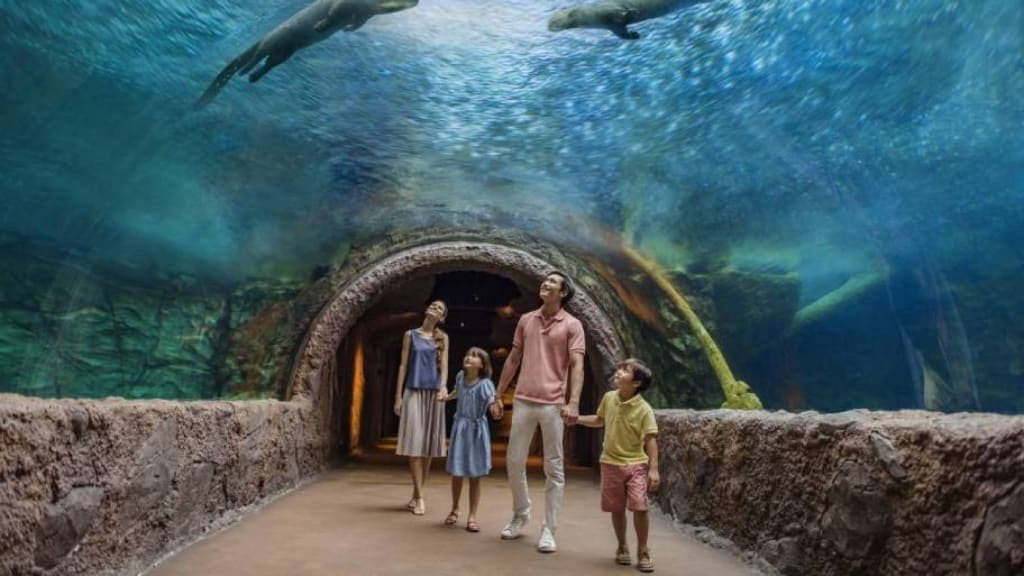 River Wonders: Explore the Riverine Ecosystems