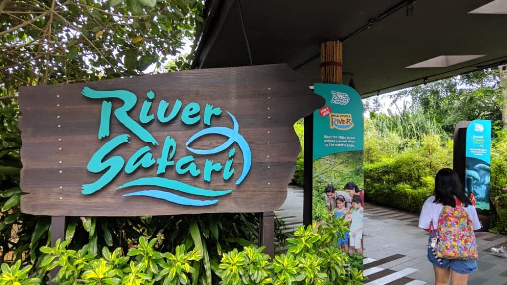 River Wonders: Explore the Riverine Ecosystems