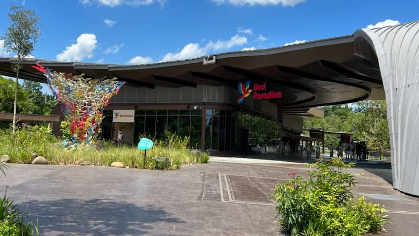Bird Paradise
