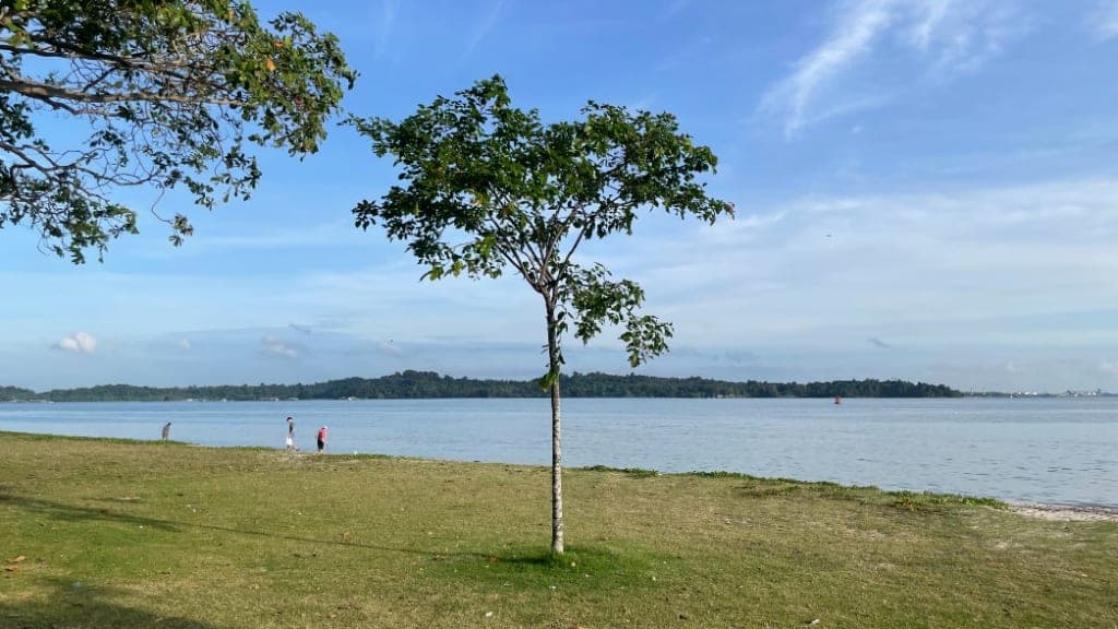 Changi Beach Park: A Serene Coastal Escape