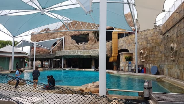 Adventure Cove Waterpark