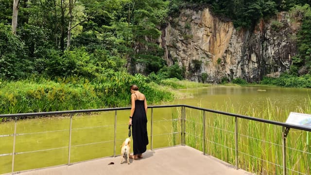 Bukit Timah Nature Reserve